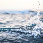 Ossigenazione del Sangue