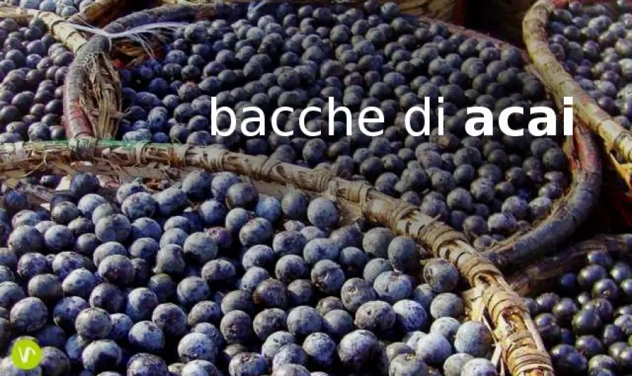 I segreti delle Bacche di Acai: il superfrutto dell’Amazzonia