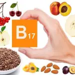 Dove si trova la vitamina B17? Nitrilosi i cibi contro il cancro