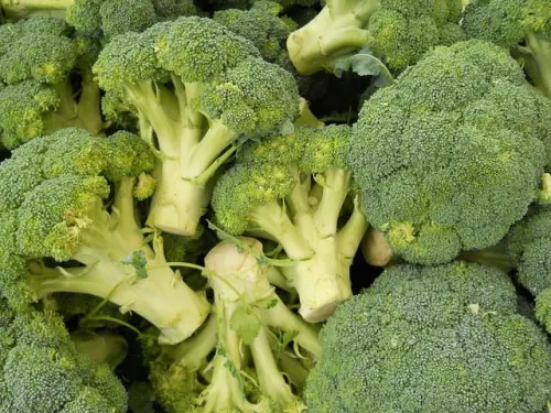 Alimenti ipocolarici: i broccoli proprietà e ricette