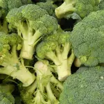 Alimenti ipocolarici: i broccoli proprietà e ricette