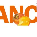 Alimenti che combattono l'artrosi: menu arancione