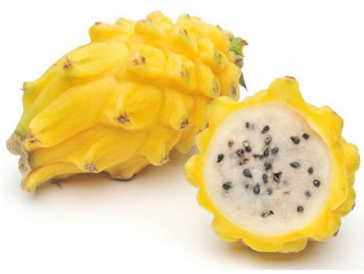 La Pitaya gialla: proprietà dimagranti