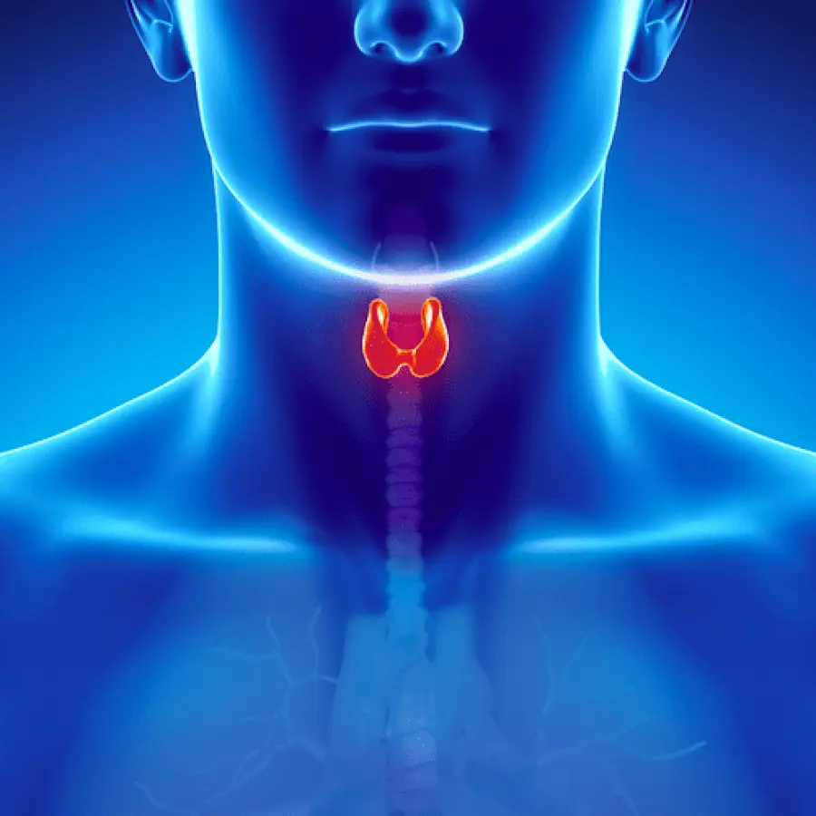La dieta per ipotiroidismo con menu settimanale