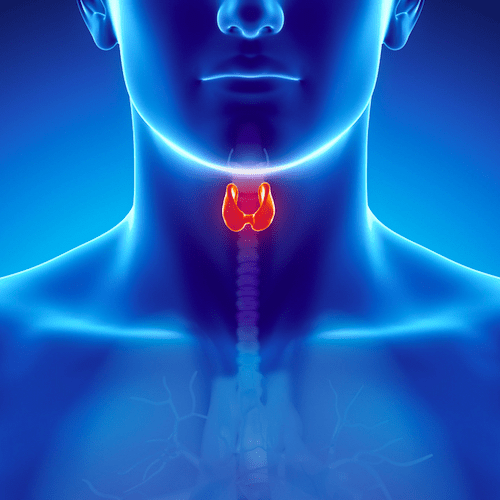 La dieta per ipotiroidismo con menu settimanale